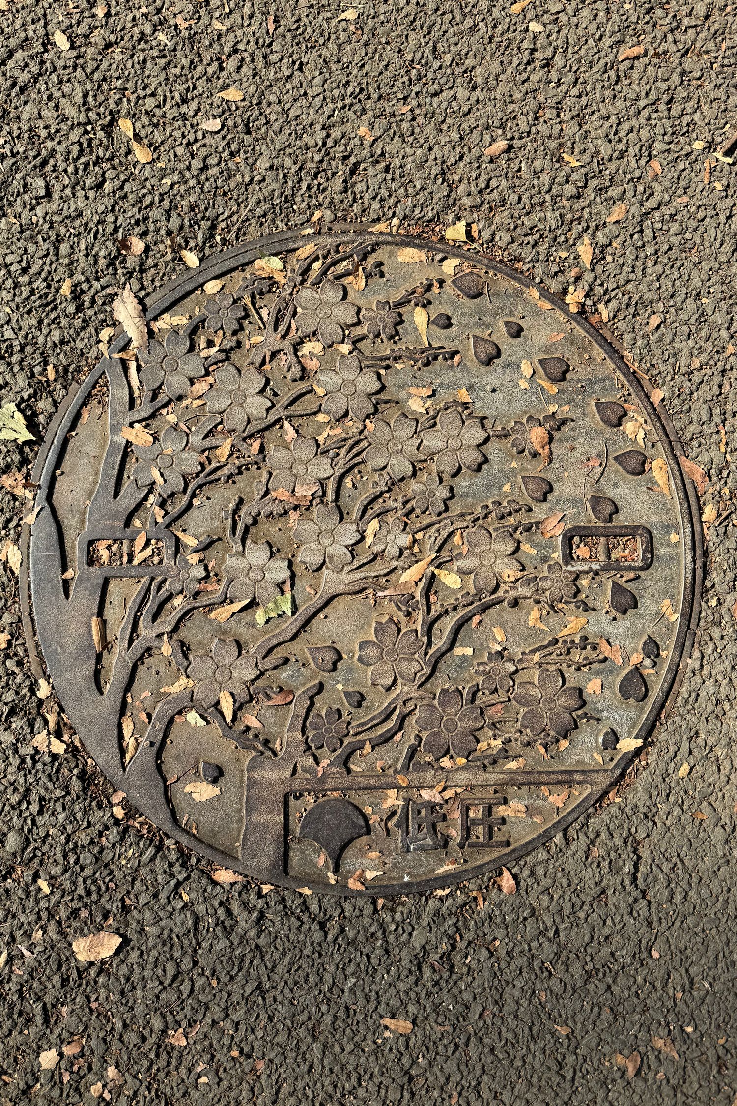 Manhole cover · Ueno Park, Toyo, Japan